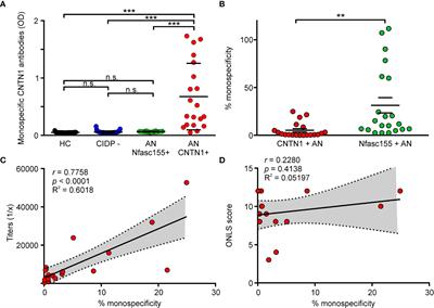 Effect of monovalency on anti-contactin-1 IgG4